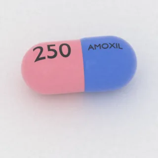 Kapsul Amoksisilin 250 mg: biru dan merah muda, 19 mm, dengan kode cetak AMOXIL di satu sisi dan 250 di sisi lainnya.